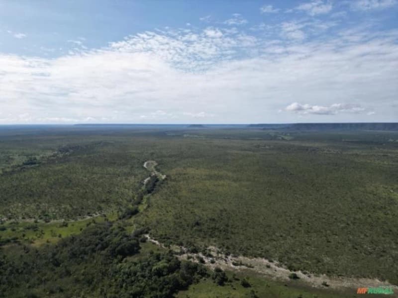 Area Rural em leilão em São Félix Do Tocantins - TO — LOTE 001 Fazenda medindo 710.94,00 hectares no Jalapão, Municipio de São Felix do Tocantins.