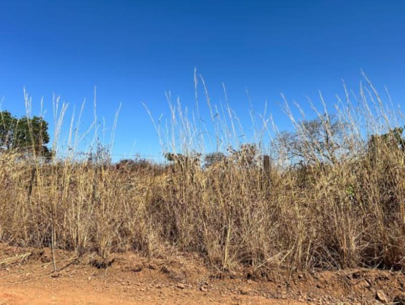 Foto 2 de 2: Area Rural em leilão em Formoso Do Araguaia - TO — LOTE 001 Chácara medindo 33ha na Rod. 242, 4km da cidade de Formoso do Araguaia - TO.