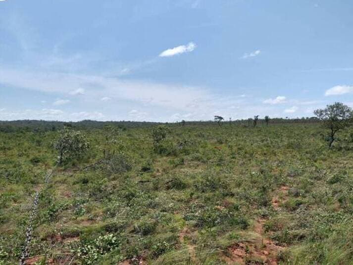 Foto 3 de 3: Area Rural em leilão em Alto Parnaíba - MA — LOTE 001 Fazenda com 1.200ha (247 alqueires) Municipio e Alto Parnaiba - MA.