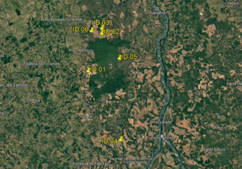 Foto 12 de 12: Area Rural em leilão em Presidente Kennedy - TO — LOTE 001 Fazenda das Meninas medindo 236 hectares em Presidente Kennedy, Tocantins