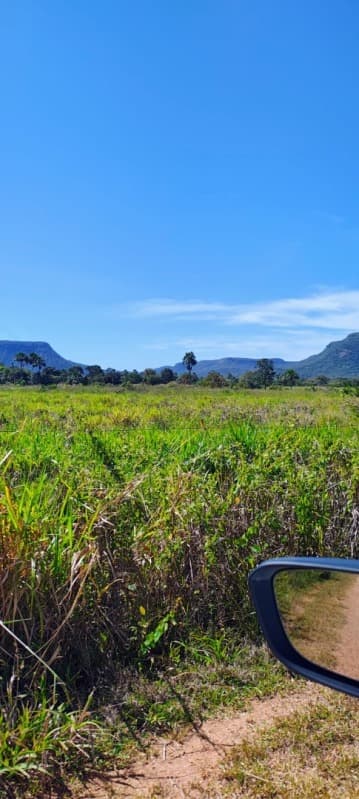 Foto 3 de 3: Area Rural em leilão em Palmas - TO — LOTE 001 Imóvel medindo 55,66ha Loteamento Corrego Marmelada (região do Machado) em Palmas, Tocantin