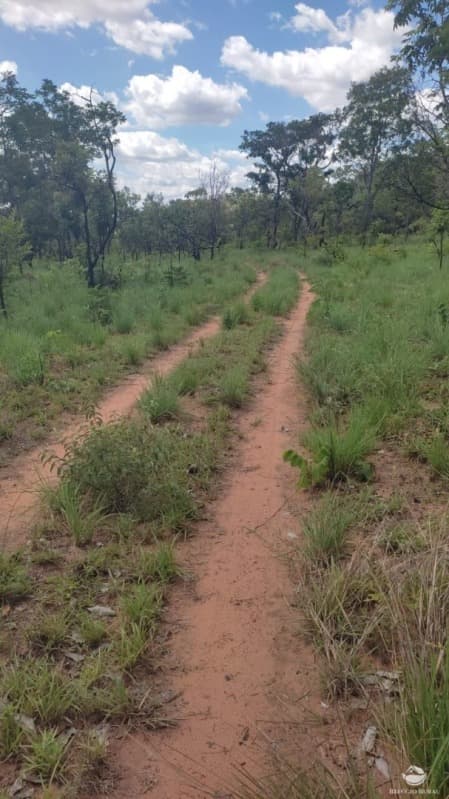 Area Rural em leilão em Loreto - MA — LOTE 001 "FAZENDA SHELL GÁS", com a área de 565,52,22ha localizada em Loreto no Maranhão