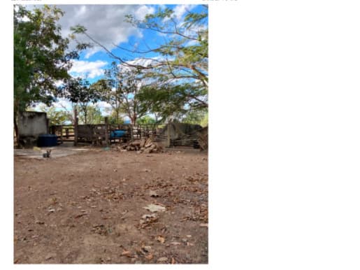 Foto 8 de 16: Area Rural em leilão em Colméia - TO — LOTE 001 FAZENDA DOIS IRMÃOS MEDINDO 13,96 ALQUEIRES EM COLMÉIA, TOCANTINS