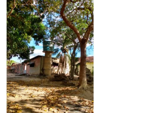 Foto 16 de 16: Area Rural em leilão em Colméia - TO — LOTE 001 FAZENDA DOIS IRMÃOS MEDINDO 13,96 ALQUEIRES EM COLMÉIA, TOCANTINS