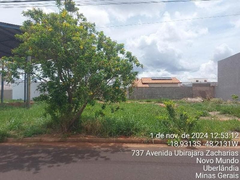 Terreno em leilão em Uberlândia - MG — LOTE 156 IMÓVEL