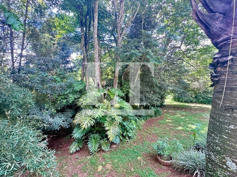 Foto 38 de 63: Terreno em leilão em São Roque - SP — LOTE 001 Imóvel em São Roque/SP