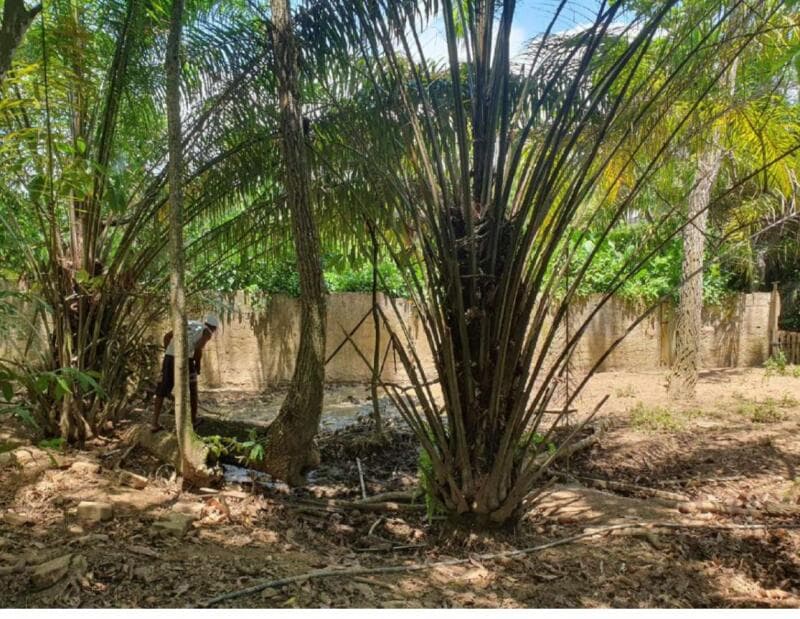 Foto 2 de 9: Casa em leilão em Lauro De Freitas - BA — LOTE 001 UM IMÓVEL COM ÁREA TOTAL: 9.898,50 M², NO CONDOMINÍO CHÁCARA DO RIO JOANES - LAURO DE FREIT