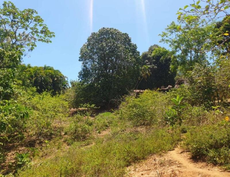 Foto 4 de 9: Casa em leilão em Lauro De Freitas - BA — LOTE 001 UM IMÓVEL COM ÁREA TOTAL: 9.898,50 M², NO CONDOMINÍO CHÁCARA DO RIO JOANES - LAURO DE FREIT