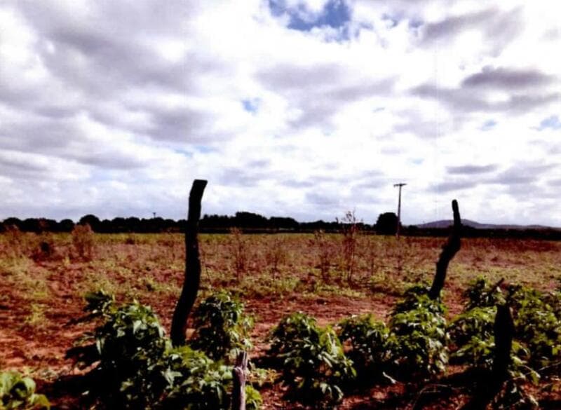 Foto 2 de 5: Area Rural em leilão em Casa Nova - BA — LOTE 001 UM IMÓVEL RURAL, “SÍTIO CELINA” - COM ÁREA DE 09,15,12 HECTARES EM CASA NOVA/BA.