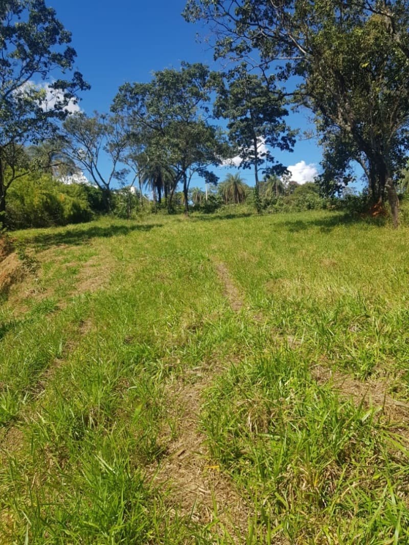 Terreno em leilão em Brumadinho - MG — LOTE 001 Imóvel em Brumadinho / MG