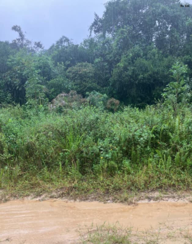 Terreno em leilão em Itanhaém - SP — LOTE 001 Imóvel em Itanhaém/SP - Colônia de Férias de Feirantes de São Paulo
