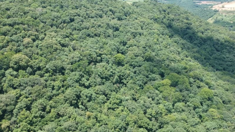 Area Rural em leilão em Maximiliano De Almeida - RS — LOTE 005-2 A FRAÇÃO IDEAL DE 13.216,66m² SOBRE METADE DO LOTE RURAL Nº 61, da Linha Zero, Secção For