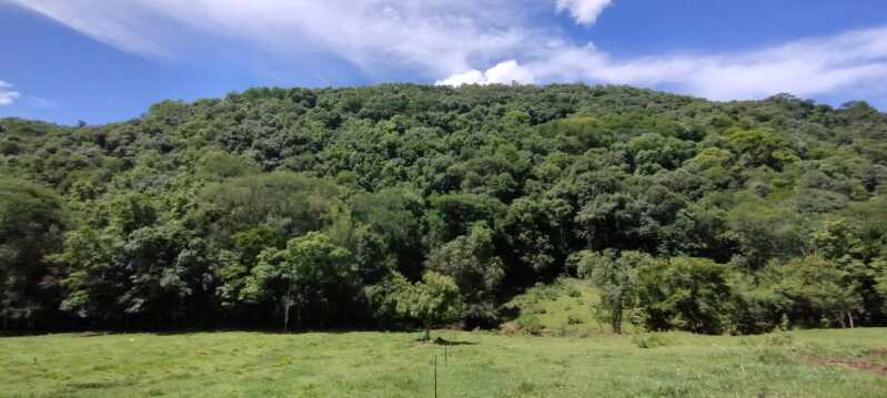 Foto 7 de 38: Area Rural em leilão em Maximiliano De Almeida - RS — LOTE 005 DIVERSAS FRAÇÕES IDEAIS DE IMÓVEIS URBANOS E RURAIS em MAXIMILIANO DE ALMEIDA/RS