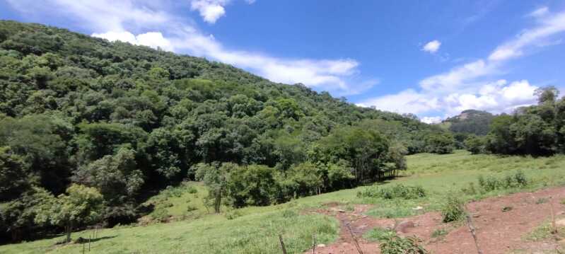 Foto 8 de 38: Area Rural em leilão em Maximiliano De Almeida - RS — LOTE 005 DIVERSAS FRAÇÕES IDEAIS DE IMÓVEIS URBANOS E RURAIS em MAXIMILIANO DE ALMEIDA/RS