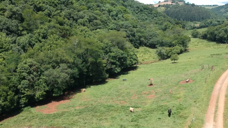 Area Rural em leilão em Maximiliano De Almeida - RS — LOTE 005-3 A FRAÇÃO IDEAL DE 5.555,55m² SOBRE PARTE DO LOTE RURAL Nº 63, da Linha Zero, Secção Forqu