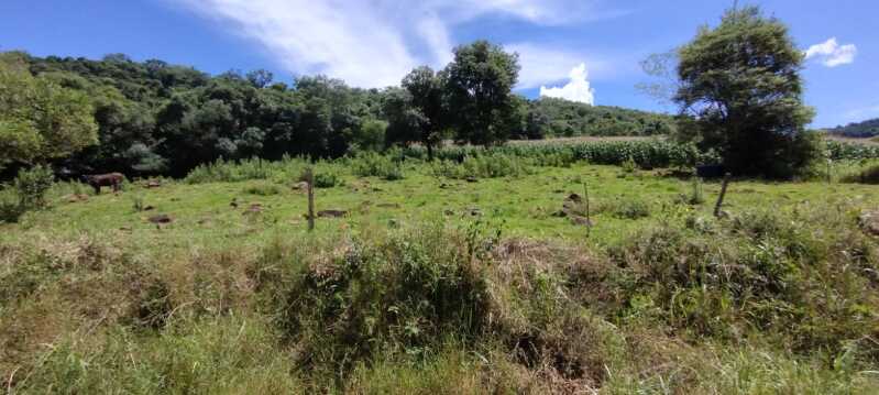 Foto 12 de 38: Area Rural em leilão em Maximiliano De Almeida - RS — LOTE 005 DIVERSAS FRAÇÕES IDEAIS DE IMÓVEIS URBANOS E RURAIS em MAXIMILIANO DE ALMEIDA/RS