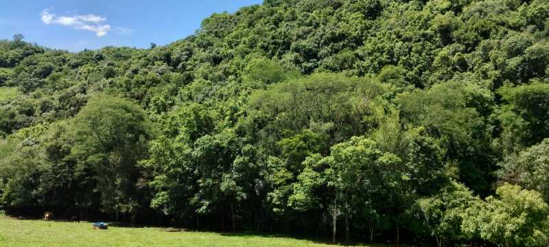Foto 13 de 38: Area Rural em leilão em Maximiliano De Almeida - RS — LOTE 005 DIVERSAS FRAÇÕES IDEAIS DE IMÓVEIS URBANOS E RURAIS em MAXIMILIANO DE ALMEIDA/RS