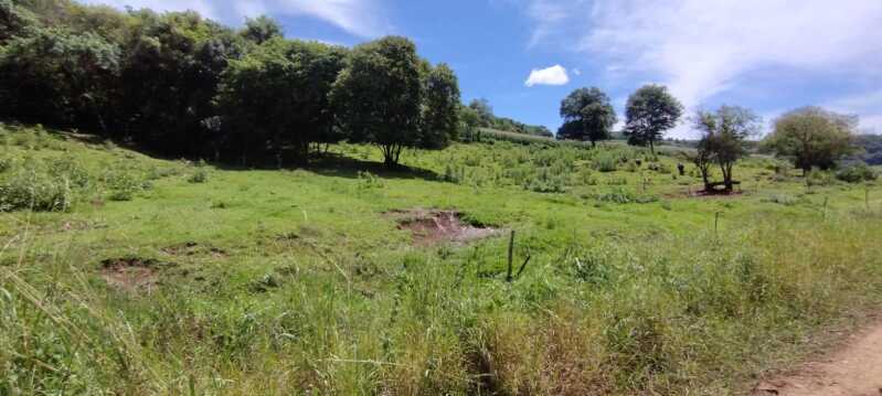 Foto 14 de 38: Area Rural em leilão em Maximiliano De Almeida - RS — LOTE 005 DIVERSAS FRAÇÕES IDEAIS DE IMÓVEIS URBANOS E RURAIS em MAXIMILIANO DE ALMEIDA/RS