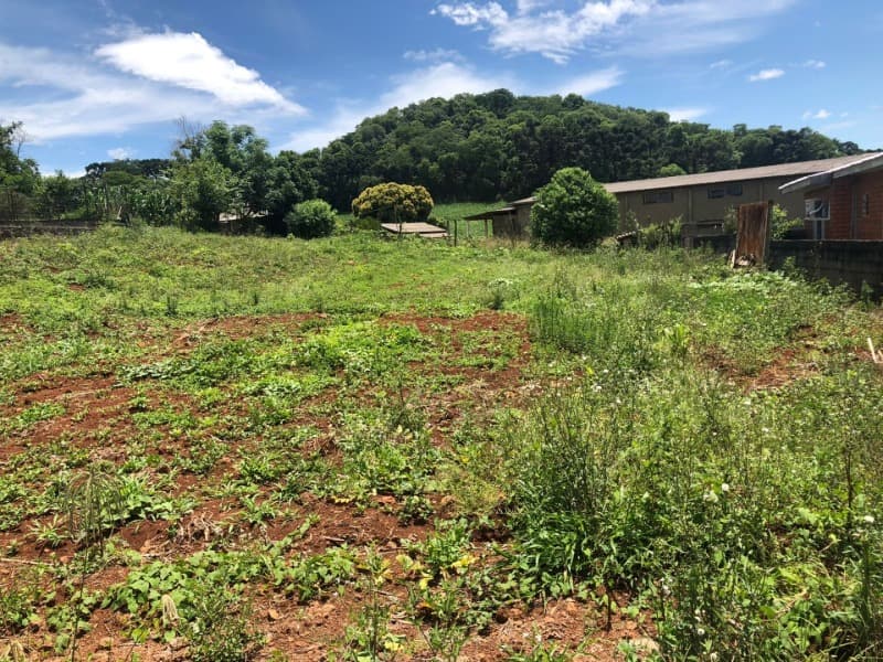Foto 16 de 38: Area Rural em leilão em Maximiliano De Almeida - RS — LOTE 005 DIVERSAS FRAÇÕES IDEAIS DE IMÓVEIS URBANOS E RURAIS em MAXIMILIANO DE ALMEIDA/RS