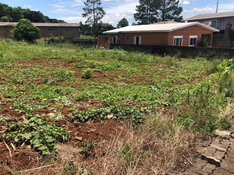 Foto 19 de 38: Area Rural em leilão em Maximiliano De Almeida - RS — LOTE 005 DIVERSAS FRAÇÕES IDEAIS DE IMÓVEIS URBANOS E RURAIS em MAXIMILIANO DE ALMEIDA/RS
