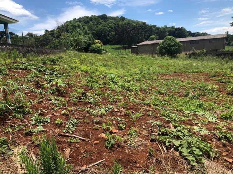 Foto 22 de 38: Area Rural em leilão em Maximiliano De Almeida - RS — LOTE 005 DIVERSAS FRAÇÕES IDEAIS DE IMÓVEIS URBANOS E RURAIS em MAXIMILIANO DE ALMEIDA/RS