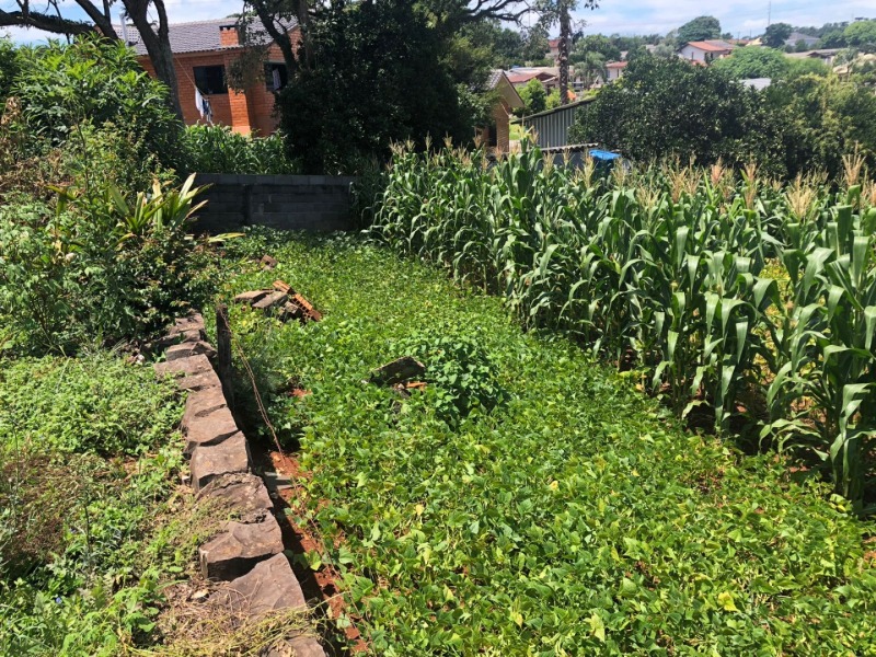 Foto 29 de 38: Area Rural em leilão em Maximiliano De Almeida - RS — LOTE 005 DIVERSAS FRAÇÕES IDEAIS DE IMÓVEIS URBANOS E RURAIS em MAXIMILIANO DE ALMEIDA/RS