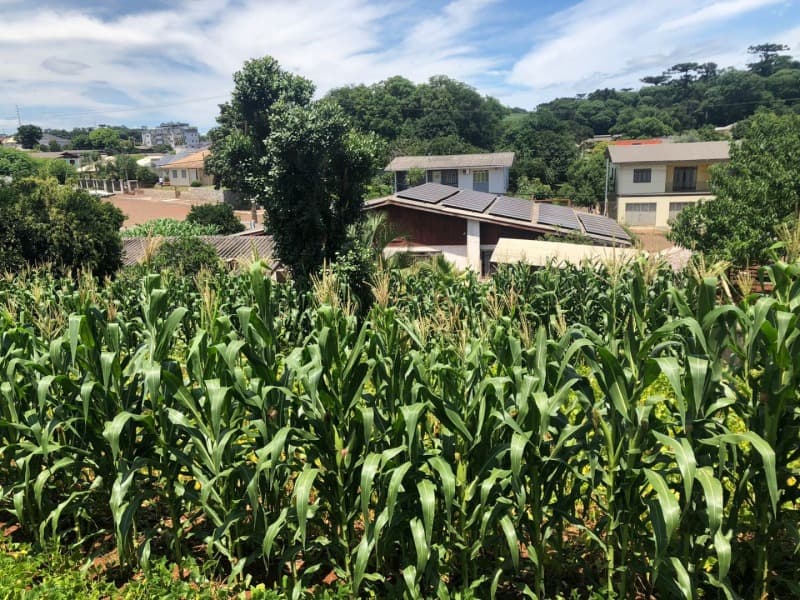 Foto 30 de 38: Area Rural em leilão em Maximiliano De Almeida - RS — LOTE 005 DIVERSAS FRAÇÕES IDEAIS DE IMÓVEIS URBANOS E RURAIS em MAXIMILIANO DE ALMEIDA/RS