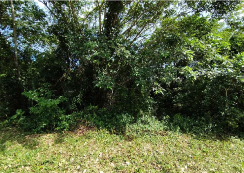 Foto 1 de 2: Terreno em leilão em São Sebastião - SP — LOTE 001 Terreno no Lot. Balneário Tropical em São Sebastião/SP