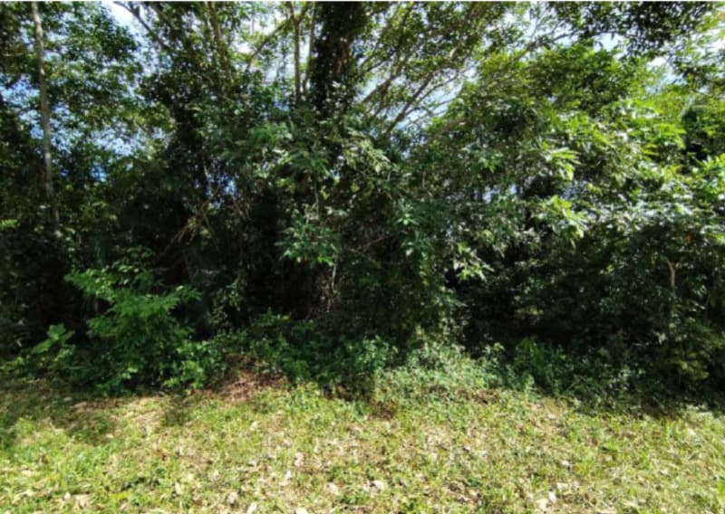 Foto 1 de 2: Terreno em leilão em São Sebastião - SP — LOTE 001 Terreno no Lot. Balneário Tropical em São Sebastião/SP