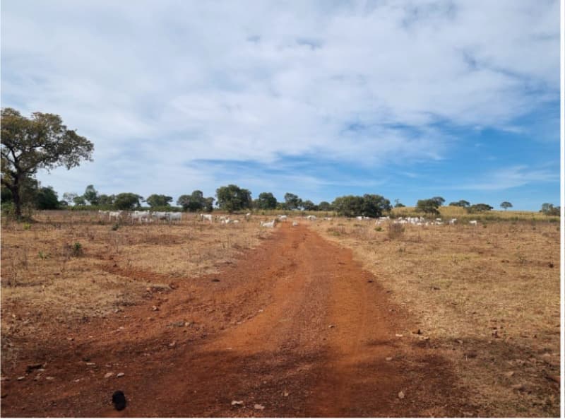 Foto 2 de 22: Area Rural em leilão em Formoso Do Araguaia - TO — LOTE 002 fazenda Estância Eloy Loteamento Pato Assado, mendindo 573,40.71 ha em Formoso do Araguaia/