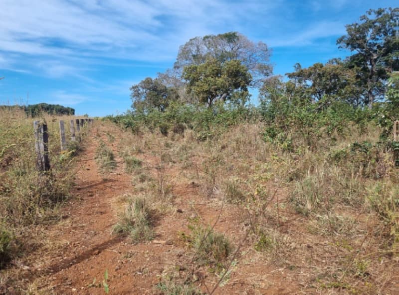 Foto 3 de 22: Area Rural em leilão em Formoso Do Araguaia - TO — LOTE 002 fazenda Estância Eloy Loteamento Pato Assado, mendindo 573,40.71 ha em Formoso do Araguaia/