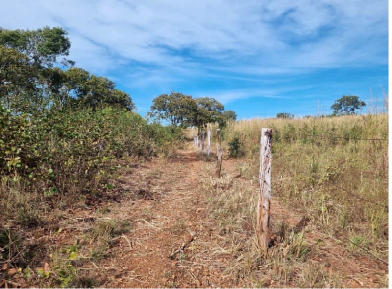 Foto 4 de 22: Area Rural em leilão em Formoso Do Araguaia - TO — LOTE 002 fazenda Estância Eloy Loteamento Pato Assado, mendindo 573,40.71 ha em Formoso do Araguaia/