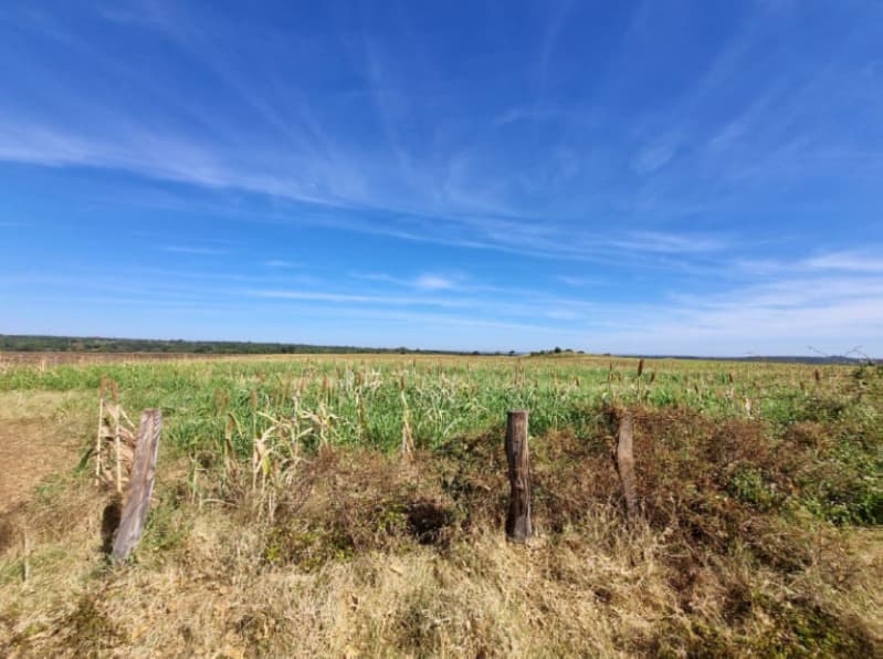 Foto 10 de 22: Area Rural em leilão em Formoso Do Araguaia - TO — LOTE 002 fazenda Estância Eloy Loteamento Pato Assado, mendindo 573,40.71 ha em Formoso do Araguaia/