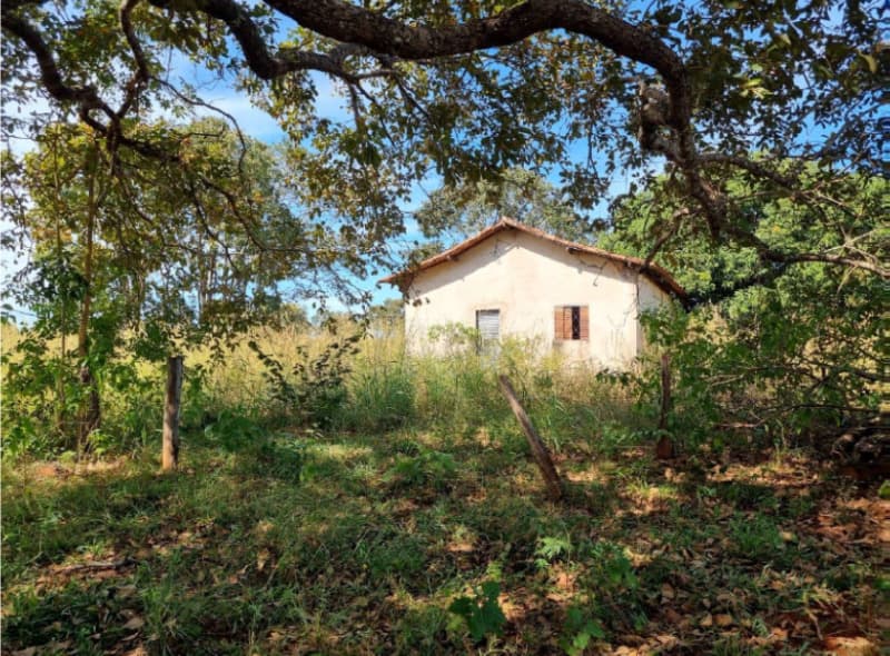 Foto 11 de 22: Area Rural em leilão em Formoso Do Araguaia - TO — LOTE 002 fazenda Estância Eloy Loteamento Pato Assado, mendindo 573,40.71 ha em Formoso do Araguaia/