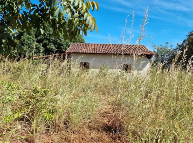 Foto 12 de 22: Area Rural em leilão em Formoso Do Araguaia - TO — LOTE 002 fazenda Estância Eloy Loteamento Pato Assado, mendindo 573,40.71 ha em Formoso do Araguaia/