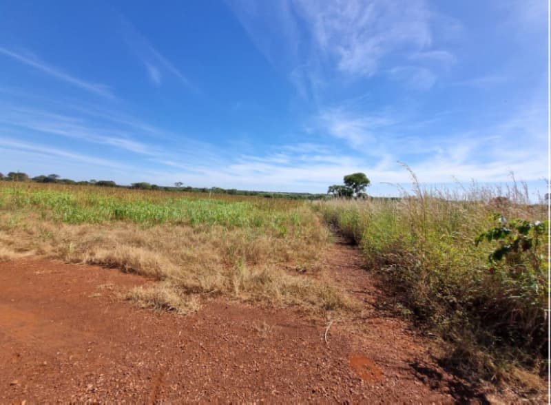 Foto 18 de 22: Area Rural em leilão em Formoso Do Araguaia - TO — LOTE 002 fazenda Estância Eloy Loteamento Pato Assado, mendindo 573,40.71 ha em Formoso do Araguaia/
