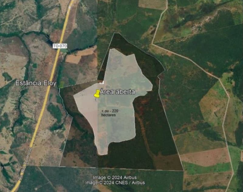 Foto 22 de 22: Area Rural em leilão em Formoso Do Araguaia - TO — LOTE 002 fazenda Estância Eloy Loteamento Pato Assado, mendindo 573,40.71 ha em Formoso do Araguaia/