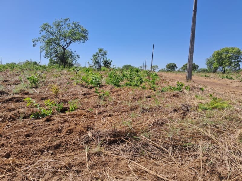 Terreno em leilão em Pium - TO — LOTE 001 11 LOTES LOCALIZADO NO JARDIM BELA VISTA EM PIUM/TO