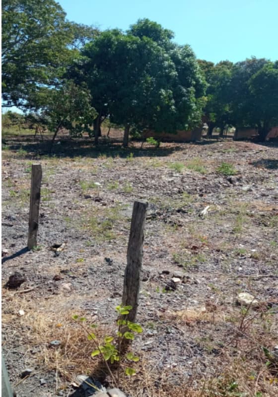 Foto 1 de 3: Casa em leilão em Cristalândia - TO — LOTE 001 Chacara em Cristalandia - TO