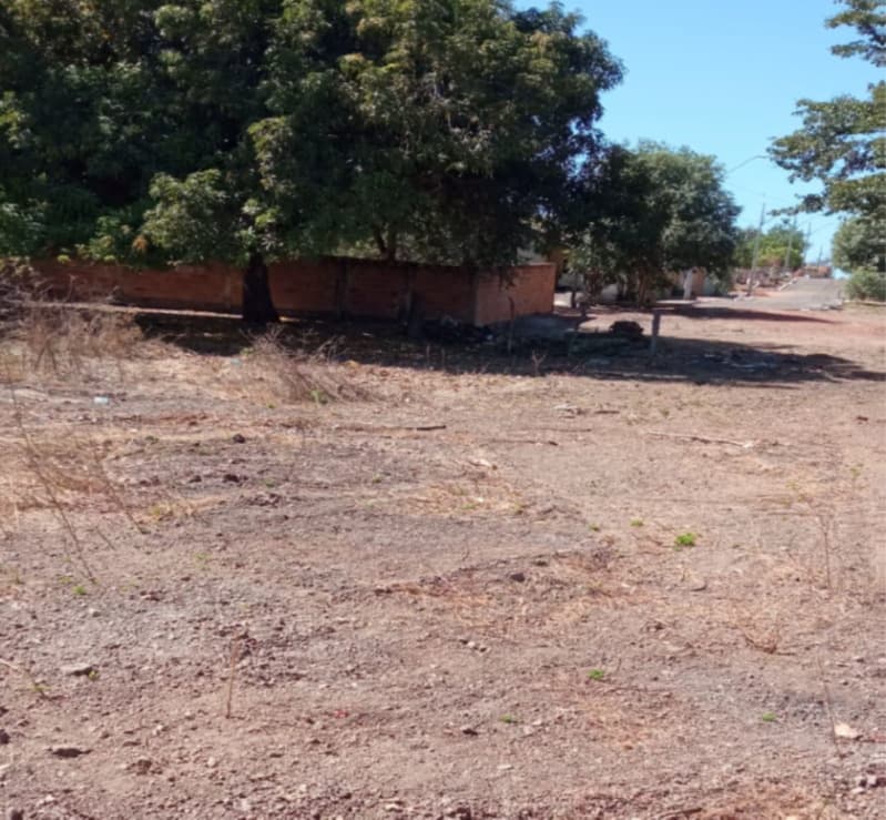 Foto 3 de 3: Casa em leilão em Cristalândia - TO — LOTE 001 Chacara em Cristalandia - TO