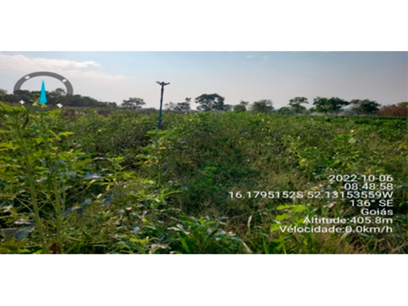 Foto 8 de 9: Terreno em leilão em Bom Jardim De Goiás - GO — Terreno - Bom Jardim de Goiás - GO
