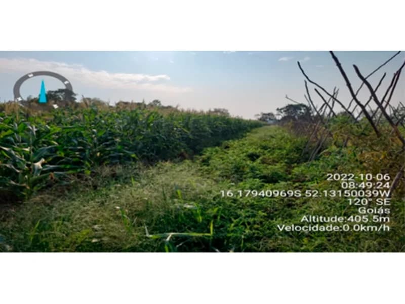 Foto 4 de 9: Terreno em leilão em Bom Jardim De Goiás - GO — Terreno - Bom Jardim de Goiás - GO