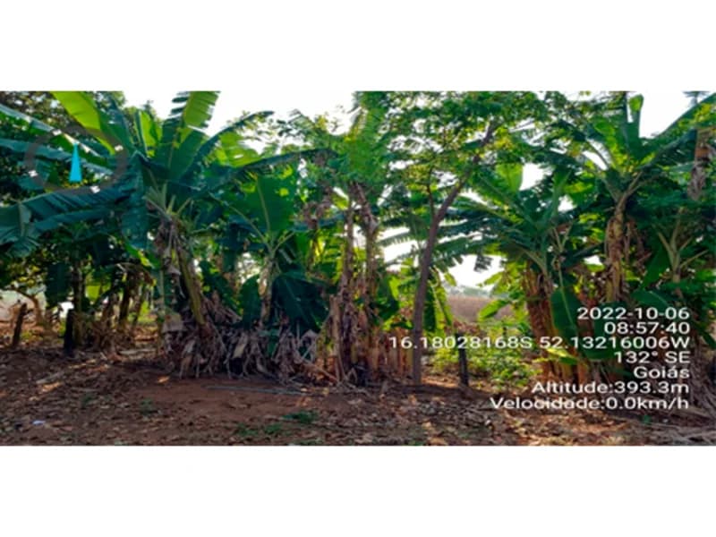 Foto 3 de 9: Terreno em leilão em Bom Jardim De Goiás - GO — Terreno - Bom Jardim de Goiás - GO