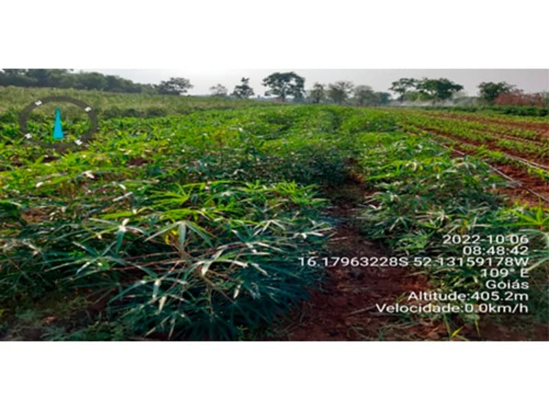 Foto 5 de 9: Terreno em leilão em Bom Jardim De Goiás - GO — Terreno - Bom Jardim de Goiás - GO