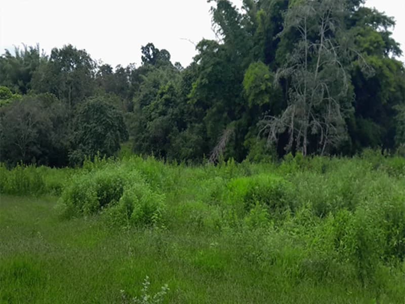 Terreno em leilão em Formiga - MG — Gleba de Terras - Formiga - MG