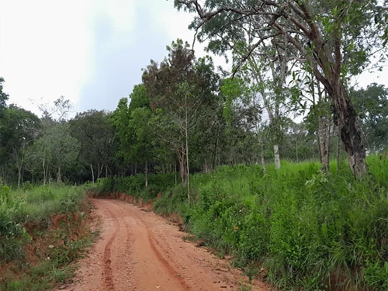 Foto 7 de 14: Terreno em leilão em Formiga - MG — Gleba de Terras - Formiga - MG