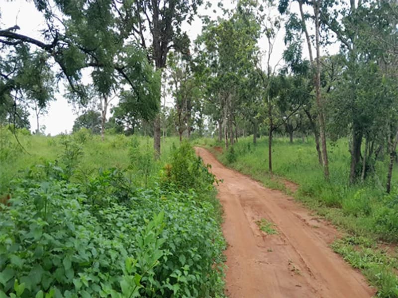 Foto 8 de 14: Terreno em leilão em Formiga - MG — Gleba de Terras - Formiga - MG