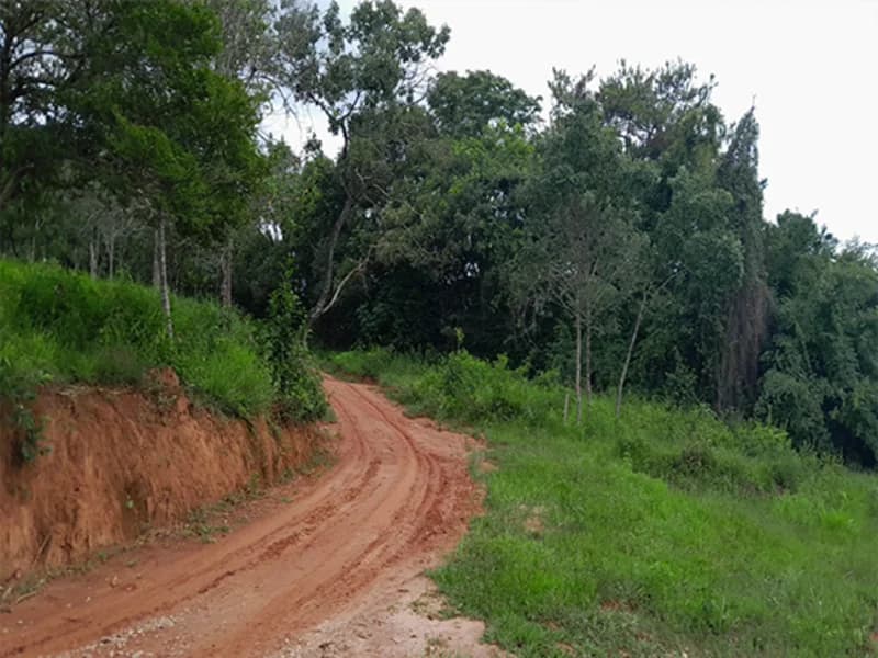 Foto 14 de 14: Terreno em leilão em Formiga - MG — Gleba de Terras - Formiga - MG