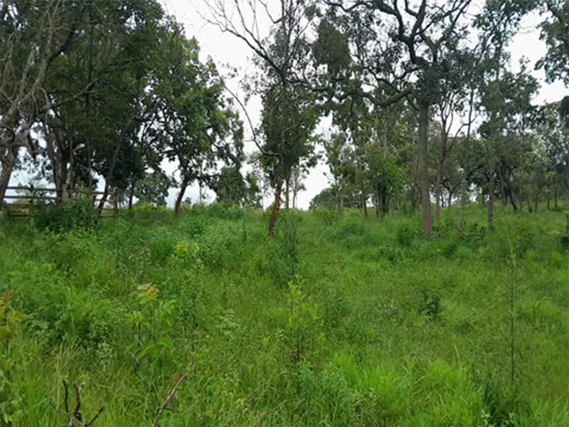 Foto 3 de 14: Terreno em leilão em Formiga - MG — Gleba de Terras - Formiga - MG