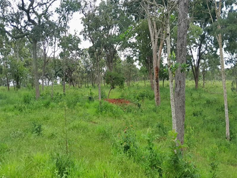 Foto 13 de 14: Terreno em leilão em Formiga - MG — Gleba de Terras - Formiga - MG